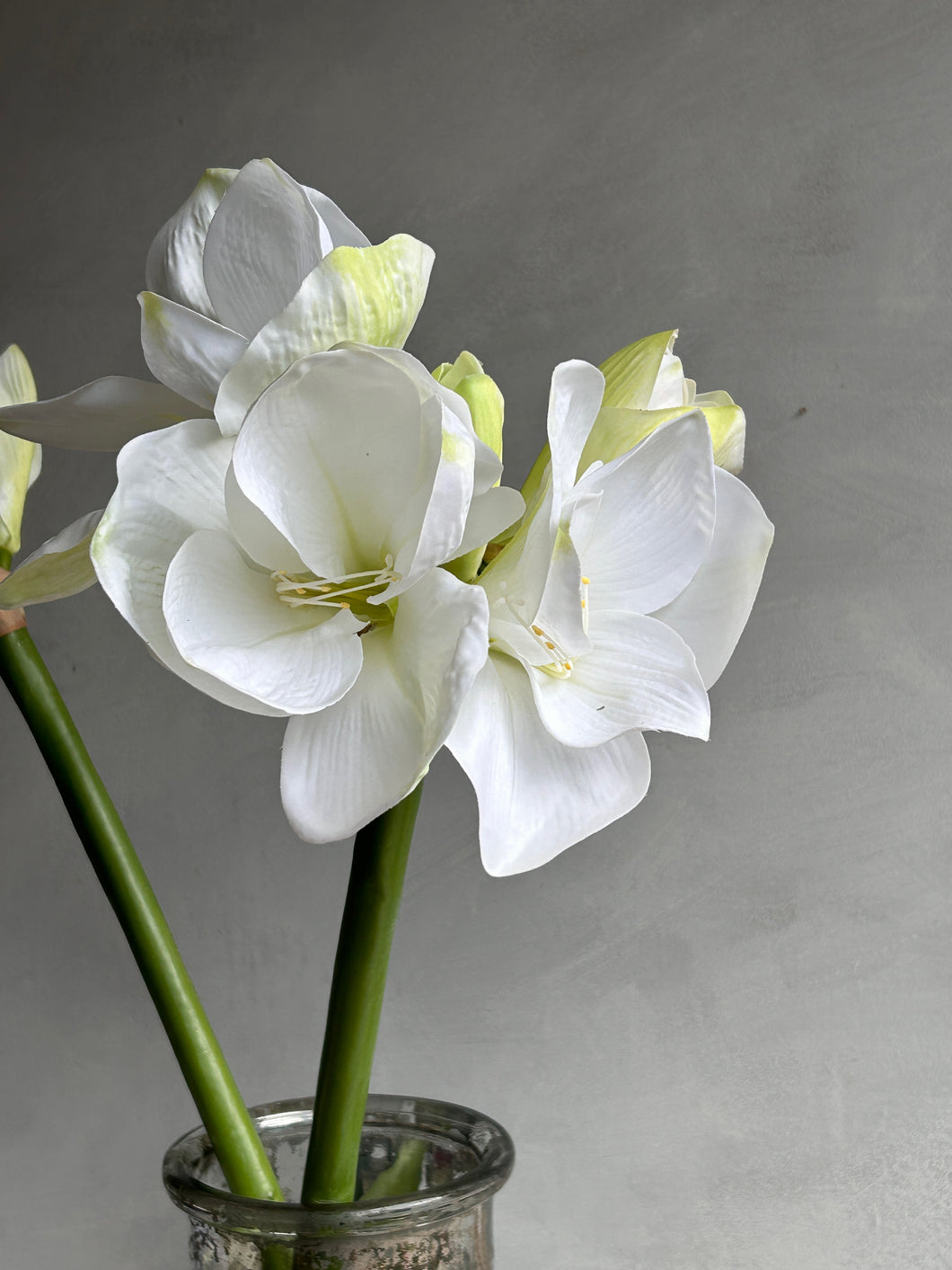 Faux white Amaryllis stem
