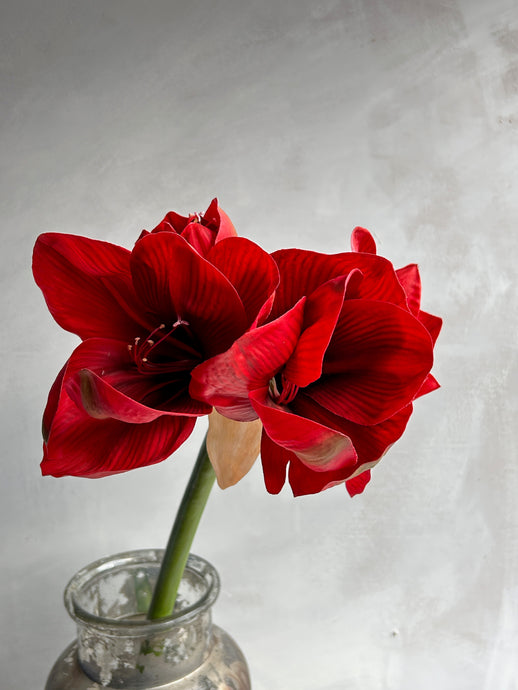 Faux red Amaryllis stem