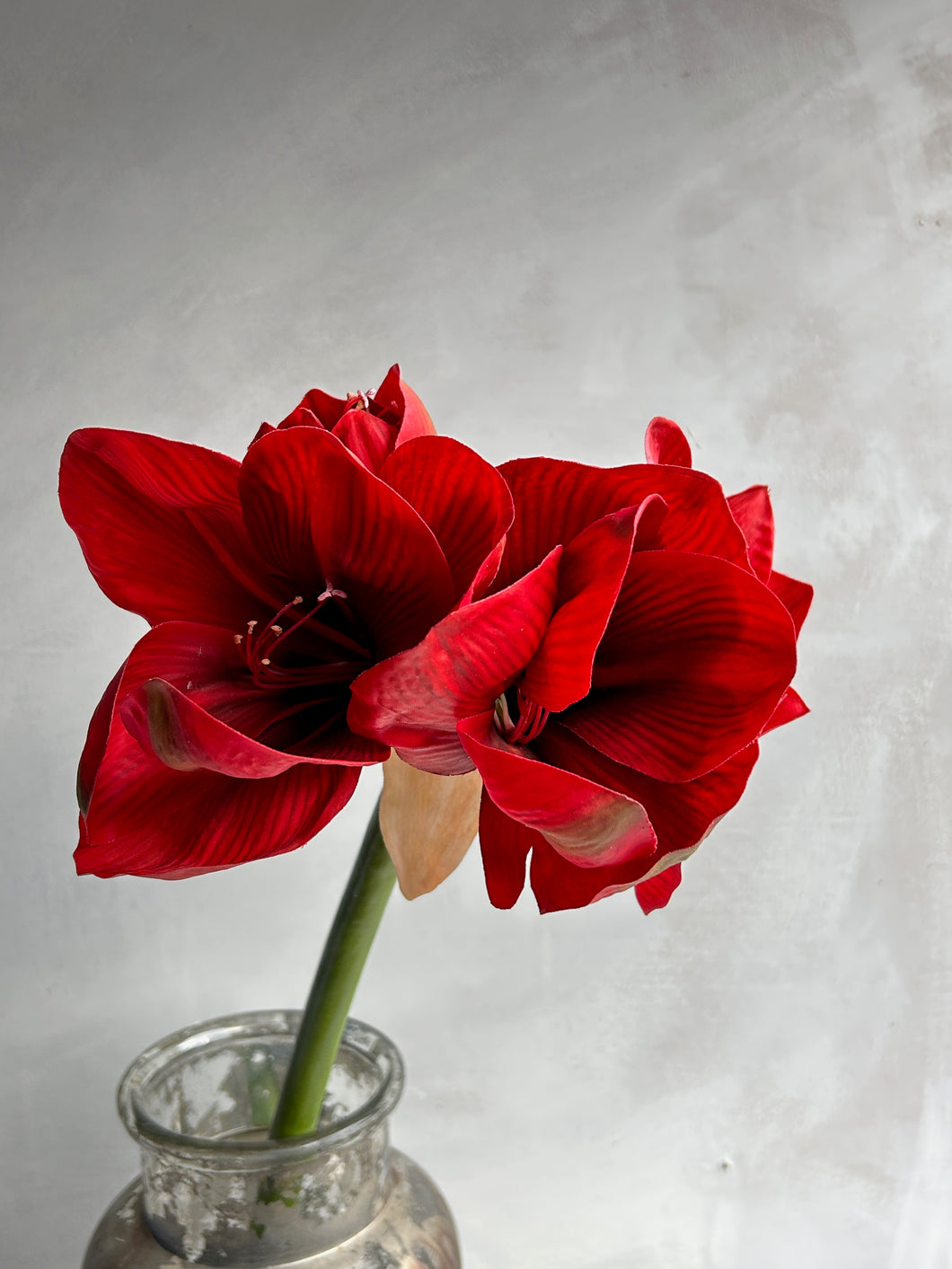 Faux red Amaryllis stem