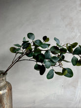 Faux berried Eucalyptus stems