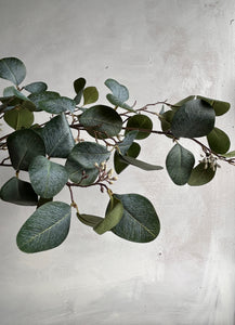 Faux berried Eucalyptus stems