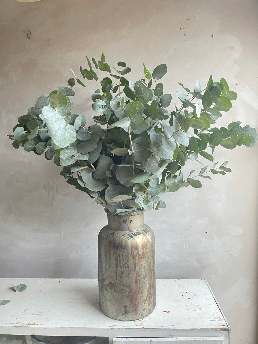 Eucalyptus